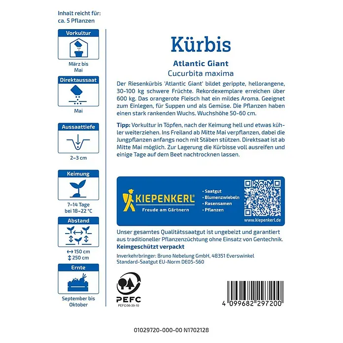 Kiepenkerl Profi-Line Gemüsesamen Kürbis Atlantic Giant - Cucurbita maxima, Erntezeit: September - Abbildung der Samenpackung für "Atlantic Giant" Kürbisse von Kiepenkerl, mit Anweisungen zu Anbau und Pflege.