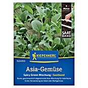 Kiepenkerl Profi-Line Salatsamenmischung Asia-Salate Spicy Green (Verschiedene Sorten, Erntezeit: Mai) | BAUHAUS