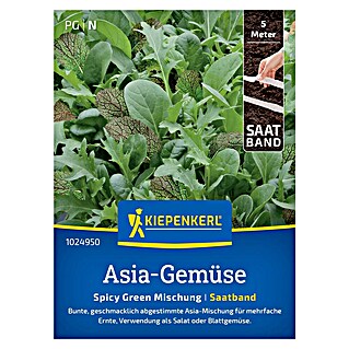 Kiepenkerl Profi-Line Salatsamenmischung Asia-Salate Spicy Green (Verschiedene Sorten, Erntezeit: Mai)
