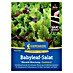 Kiepenkerl Profi-Line Salatsamenmischung Babyleaf Meraldi 
