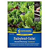 Kiepenkerl Profi-Line Salatsamenmischung Babyleaf Meraldi (Lactuca sativa, Erntezeit: Mai) | BAUHAUS