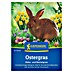Kiepenkerl Profi-Line Saatgut Ostergras 