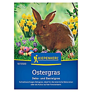 Kiepenkerl Profi-Line Saatgut Ostergras (Verschiedene Sorten)