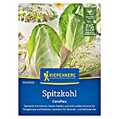 Kiepenkerl Profi-Line Gemüsesamen Spitzkohl Caraflex (Brassica oleracea var. capitata f. alba, Erntezeit: Juni) | BAUHAUS