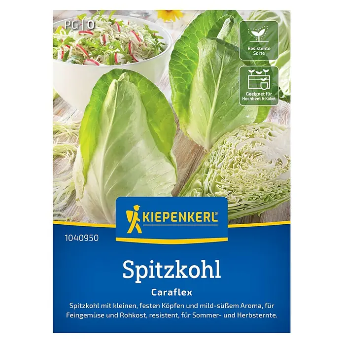 Kiepenkerl Profi-Line Gemüsesamen Spitzkohl Caraflex - Brassica oleracea var. capitata f. alba, Erntezeit: Juni - Abbildung einer Saatguttüte Spitzkohl Caraflex von Kiepenkerl mit frischem Spitzkohl und Salat als Beilage.