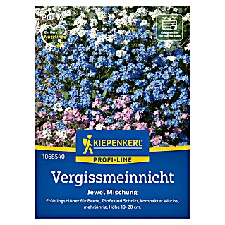 Kiepenkerl Profi-Line Blumensamenmischung Vergissmeinnicht Jewel (Myosotis sylvatica)