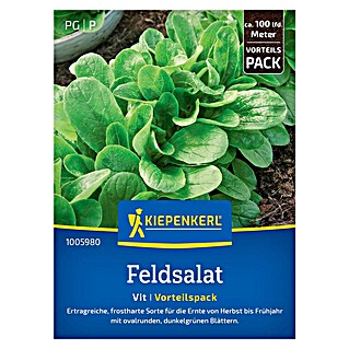 Kiepenkerl Salatsamen Feldsalat (Valerianella locusta, Erntezeit: September)