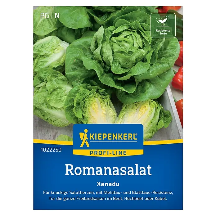 Kiepenkerl Profi-Line Salatsamen Romanasalat Xanadu - Lactuca sativa var. longifolia, Erntezeit: Mai - Samenpackung Romanasalat Xanadu von Kiepenkerl Profi-Line. Resistent gegen Mehltau und Blattläuse, für knackige Salatherzen.