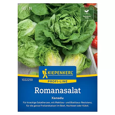 Kiepenkerl Profi-Line Salatsamen Romanasalat Xanadu