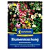 Kiepenkerl Profi-Line Blumensamenmischung Schattenblumen 
