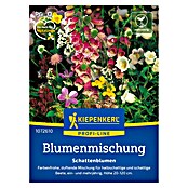 Kiepenkerl Profi-Line Blumensamenmischung Schattenblumen (Verschiedene Sorten, Mehrfarbig, 3 m² - 4 m²) | BAUHAUS