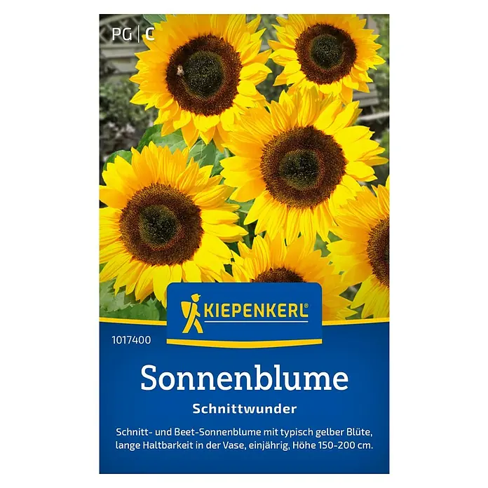 Kiepenkerl Blumensamen Sonnenblume - Helianthus annuus, Gelb - Samentüte Sonnenblume 'Schnittwunder' von Kiepenkerl mit leuchtend gelben Blüten, ideal für Beet und Vase, Höhe 150-200 cm.