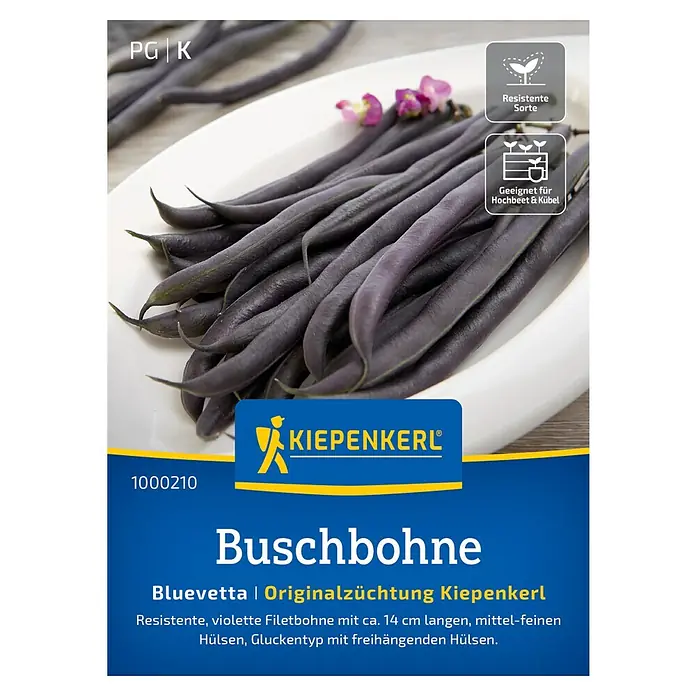 Kiepenkerl Profi-Line Gemüsesamen Buschbohne Bluevetta - Phaseolus vulgaris var. nanus, Erntezeit: Juli - Eine Packung Bluevetta Buschbohnen-Samen von Kiepenkerl. Die violetten Filetbohnen sind resistent und für Hochbeete und Kübel geeignet.