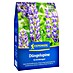 Kiepenkerl Gründüngung Süßlupine 