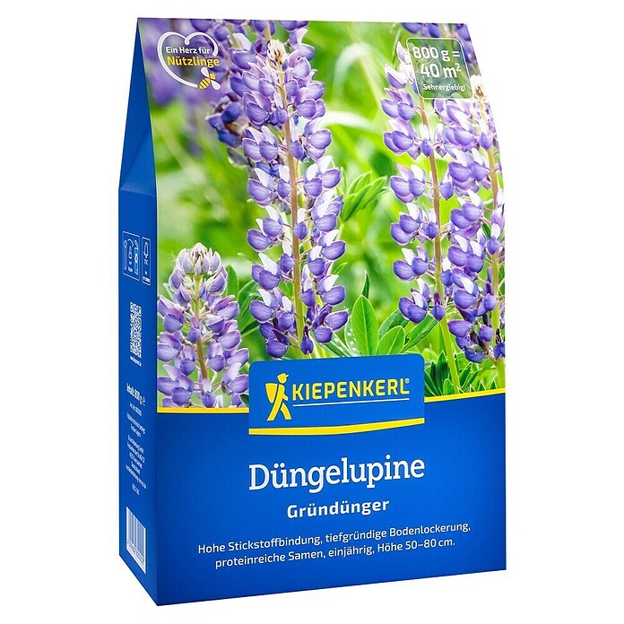 Kiepenkerl Gründüngung Süßlupine (Lupinus angustifolius, Inhalt reicht für ca. 40 Quadratmeter) | BAUHAUS
