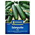 Kiepenkerl Profi-Line Gemüsesamen Salatgurke Tanha 