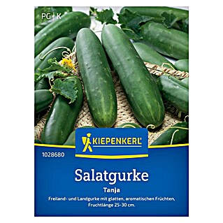Kiepenkerl Profi-Line Gemüsesamen Salatgurke Tanha (Cucumis sativus, Erntezeit: Juli)