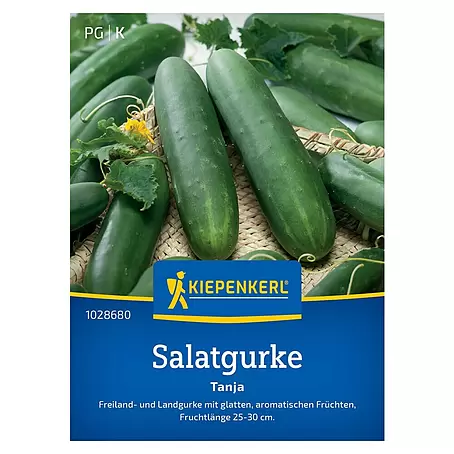 Kiepenkerl Profi-Line Gemüsesamen Salatgurke Tanha