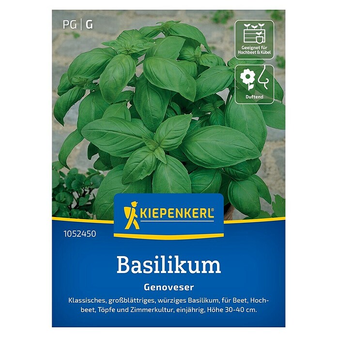Kiepenkerl Profi-Line Kräutersamen Basilikum Genoveser (Ocimum basilicum, Erntezeit: Juli) | BAUHAUS