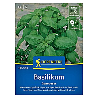 Kiepenkerl Profi-Line Kräutersamen Basilikum Genoveser (Ocimum basilicum, Erntezeit: Juli)