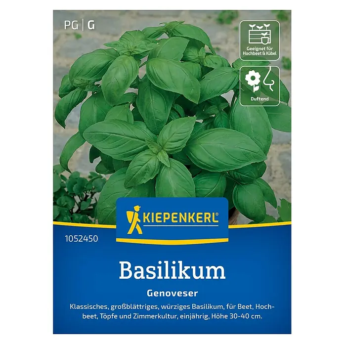 Kiepenkerl Profi-Line Kräutersamen Basilikum Genoveser - Ocimum basilicum, Erntezeit: Juli - Abbildung des Kiepenkerl Basilikum Genoveser, eine klassische, grossblättrige und duftende Sorte für Beet, Hochbeet und Kübel.