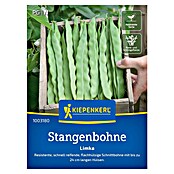Kiepenkerl Gemüsesamen Stangenbohne Limka (Phaseolus vulgaris var. vulgaris, Erntezeit: Juli) | BAUHAUS