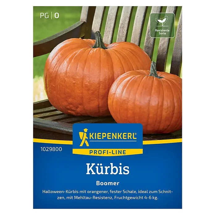 Kiepenkerl Gemüsesamen Kürbis Boomer - Cucurbita pepo, Erntezeit: August - Sämerei Kürbis "Boomer" von Kiepenkerl Profi-Line. Halloween-Kürbis mit orangener Schale, ideal zum Schnitzen, Fruchtgewicht 4-6 kg.