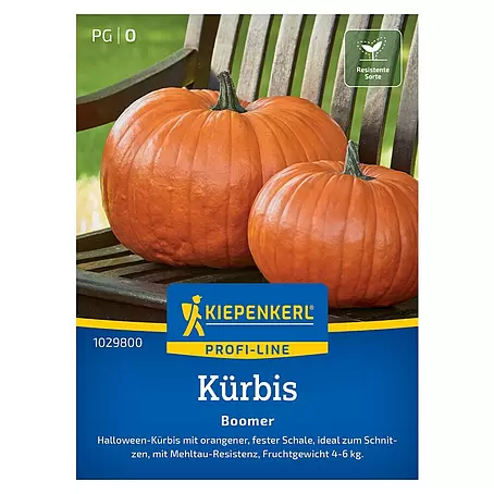 Kiepenkerl  Gemüsesamen Kürbis Boomer