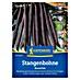 Kiepenkerl Gemüsesamen Stangenbohne Blauhilde 