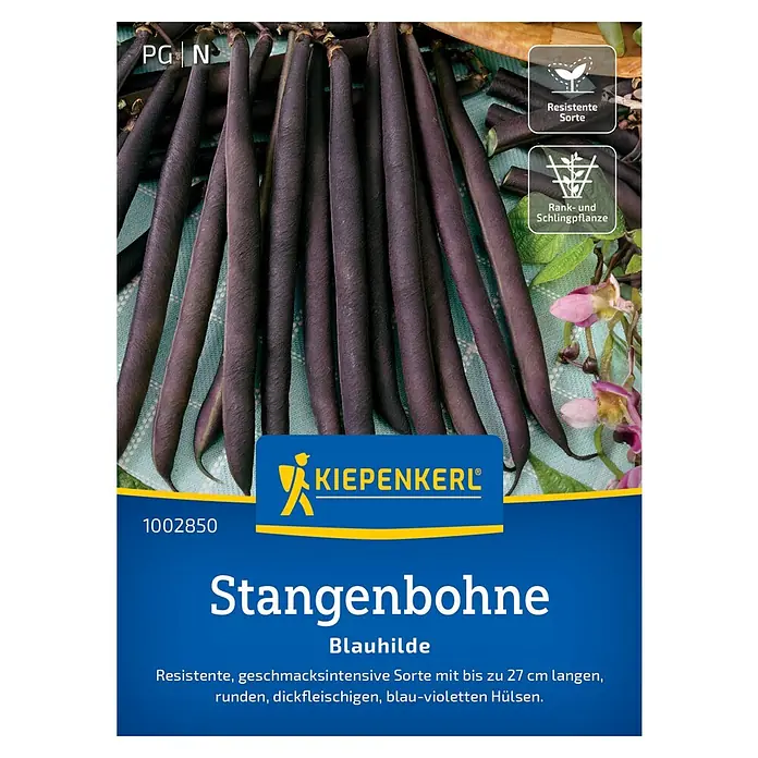 Kiepenkerl Gemüsesamen Stangenbohne Blauhilde - Phaseolus vulgaris var. vulgaris, Erntezeit: Juli - Samenpackung Stangenbohne 'Blauhilde' von Kiepenkerl mit resistenter, geschmacksintensiver Sorte und blau-violetten Hülsen.