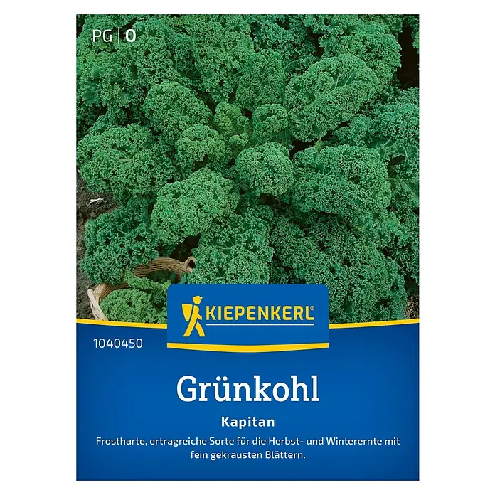 Kiepenkerl Profi-Line Gemüsesamen Grünkohl - Brassica oleracea var. sabellica, Erntezeit: Oktober - Die Samenpackung Grünkohl 'Kapitan' von Kiepenkerl verspricht eine frostharte, ertragreiche Sorte für Herbst- und Winterernte mit fein gekrausten Blättern.