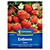 Kiepenkerl Profi-Line Obstsamen Erdbeere Tresca 