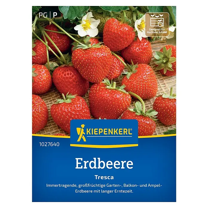 Kiepenkerl Profi-Line Gewürzkräutersamen-Kombination, ein- und