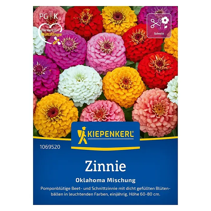 Kiepenkerl Profi-Line Blumensamen Zinnie Oklahoma - Zinnia elegans, Mehrfarbig - Samenpackung Zinnie "Oklahoma Mischung" von Kiepenkerl, Pomponblütige Beet- und Schnittzinnie mit leuchtenden Farben.