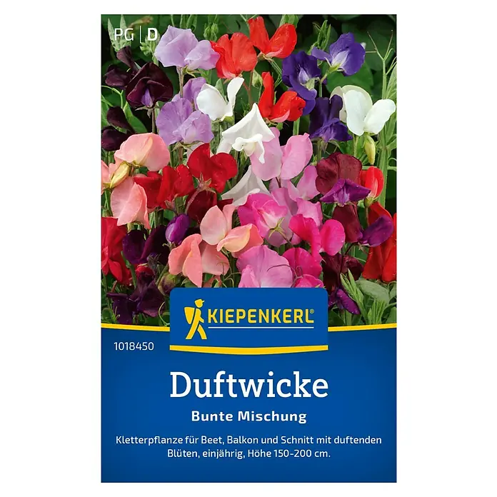 Kiepenkerl Blumensamen Duftwicken - Lathyrus odoratus, Mehrfarbig - Duftwicke 'Bunte Mischung' von Kiepenkerl: Eine einjährige Kletterpflanze mit duftenden Blüten in verschiedenen Farben für Beet und Balkon.