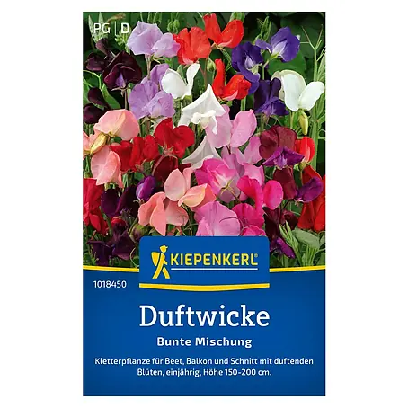 Kiepenkerl  Blumensamen Duftwicken
