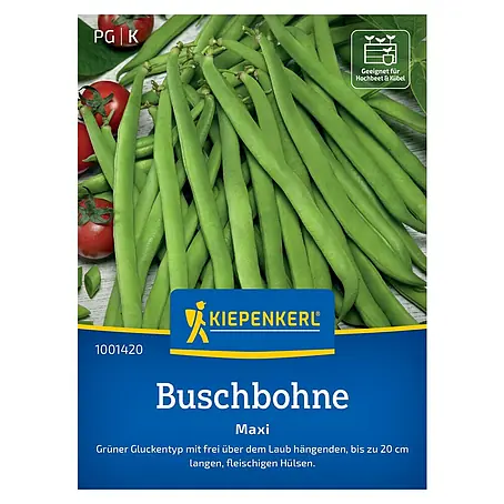 Kiepenkerl Profi-Line Gemüsesamen Buschbohne Maxi