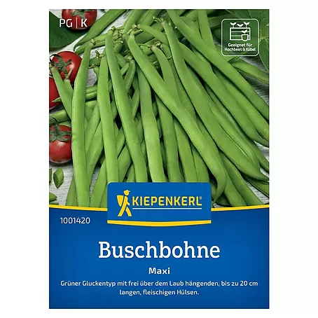 Kiepenkerl Profi-Line Gemüsesamen Buschbohne Maxi