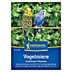 Kiepenkerl Profi-Line Blumensamen Vogelmiere (Stellaria media, 1 m²) | BAUHAUS