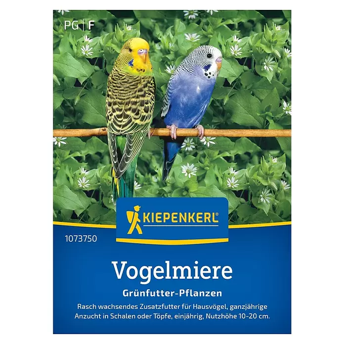 Kiepenkerl Profi-Line Blumensamen Vogelmiere Grünfutter Pflanzen - Stellaria media, 1 m² - Zwei Wellensittiche auf einem Ast inmitten grüner Vogelmiere-Pflanzen mit weißen Blüten. Als Vogelfutter von Kiepenkerl.