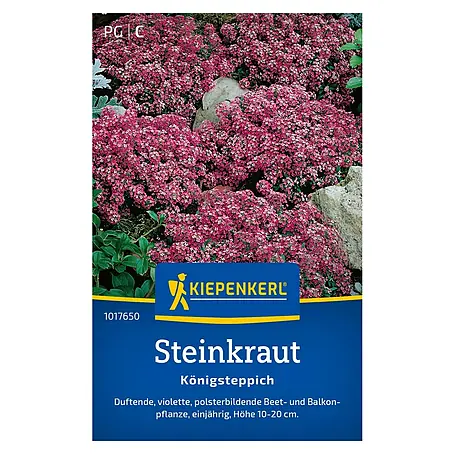 Kiepenkerl  Blumensamen Steinkraut