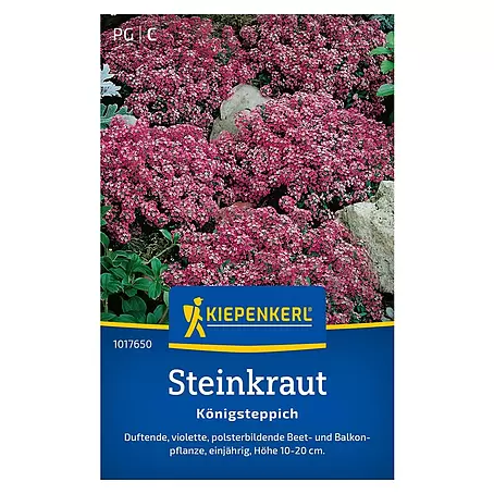 Kiepenkerl  Blumensamen Steinkraut