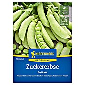 Kiepenkerl Profi-Line Gemüsesamen Zuckererbse Delikett (Pisum sativum, Erntezeit: Juni) | BAUHAUS