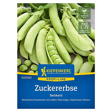 Kiepenkerl Profi-Line Gemüsesamen Zuckererbse Delikett
