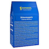 Kiepenkerl Profi-Line Blumenmischung Blütenteppich (Einjährig, Mischung, 30 cm - 60 cm) | BAUHAUS