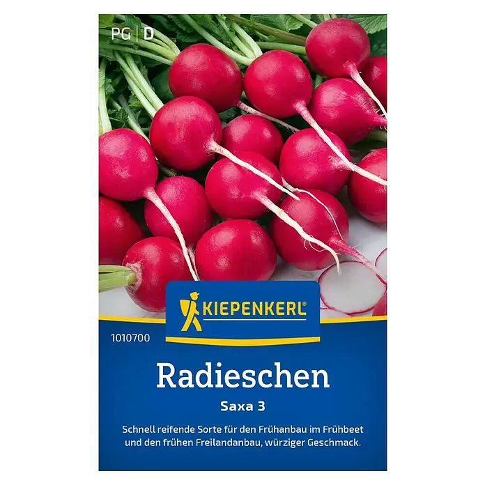 Kiepenkerl Gemüsesamen Radieschen Saxa 3 - Raphanus sativus var. sativus, Erntezeit: April - Radieschen der Sorte Saxa 3 von Kiepenkerl. Schnell reifende Sorte für den Anbau im Frühbeet und Freiland mit würzigem Geschmack.