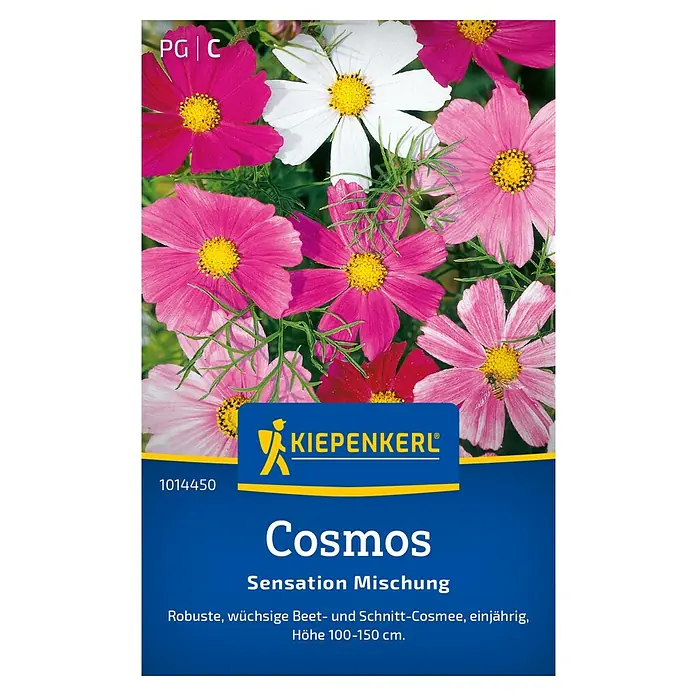 Kiepenkerl Blumensamenmischung Schmuckkörchen Sensation - Cosmos bipinnatus, Mehrfarbig - Produktbild von Kiepenkerl Cosmos 'Sensation Mischung', einer einjährigen Beet- und Schnitt-Cosmee, Höhe 100-150 cm.