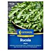 Kiepenkerl Profi-Line Salatsamen Rucola Astra 