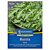 Kiepenkerl Profi-Line Salatsamen Rucola Astra (Eruca sativa, Erntezeit: April) | BAUHAUS