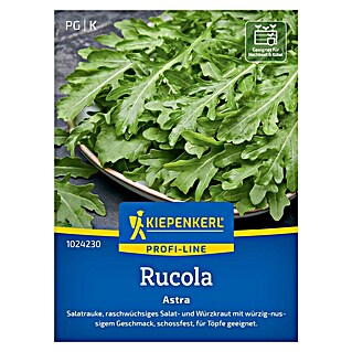 Kiepenkerl Profi-Line Salatsamen Rucola Astra (Eruca sativa, Erntezeit: April)
